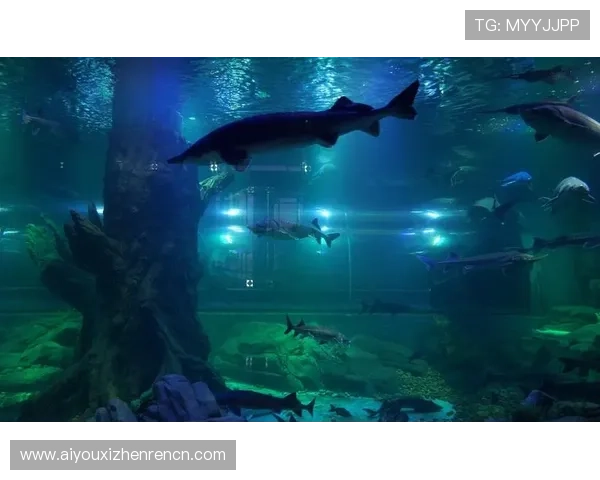 登录博鱼真人官方入口尽享便捷安全的线上娱乐体验