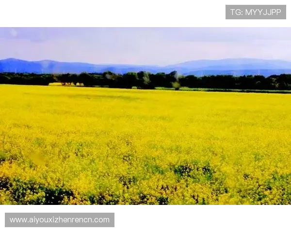 bg大游真人登录线路官网最新版本下载与使用教程,确保顺畅登录无障碍 bg大游真人登录线路官网最新版本下载与使用教程,确保顺畅登录无障碍