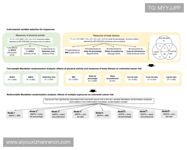 掌握pa视讯百家乐的风险控制技巧,有效减少损失实现稳健盈利